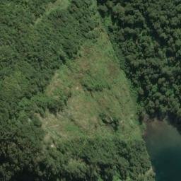 Satellite imagery of Williamson Point, NZ