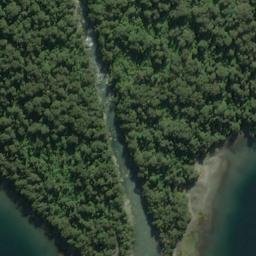 Satellite imagery of Williamson Point, NZ
