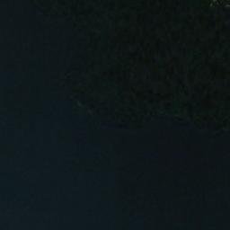 Satellite imagery of Williamson Point, NZ