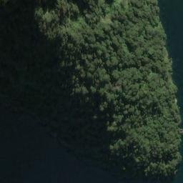 Satellite imagery of Williamson Point, NZ