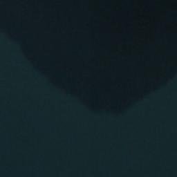 Satellite imagery of Williamson Point, NZ