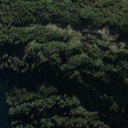 Satellite imagery of Bridget Point, NZ
