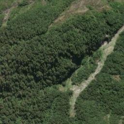 Satellite imagery of Pater Point, NZ