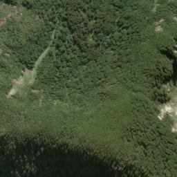 Satellite imagery of Pater Point, NZ