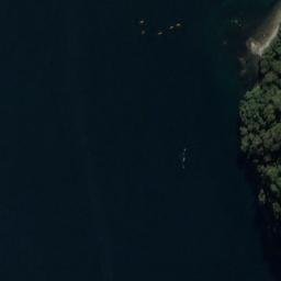 Satellite imagery of Bridget Point, NZ