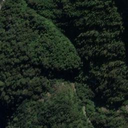 Satellite imagery of Bridget Point, NZ