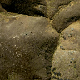 Satellite imagery of THREE TREE SPUR, NZ