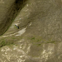 Satellite imagery of Great Rock, NZ