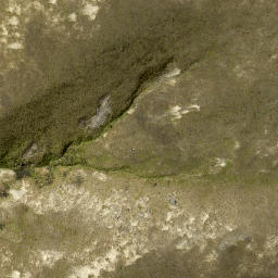 Satellite imagery of Great Rock, NZ