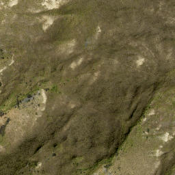 Satellite imagery of Great Rock, NZ