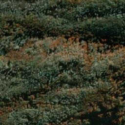 Satellite imagery of Cerro Mesa, CL