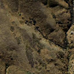 Satellite imagery of Three Tree Spur, NZ