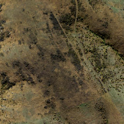 Satellite imagery of Three Tree Spur, NZ