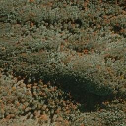 Satellite imagery of Cerro Mesa, CL