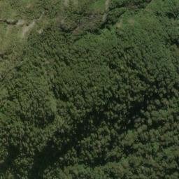 Satellite imagery of Sandfly Point, NZ