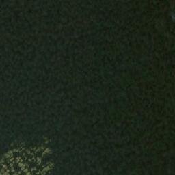 Satellite imagery of Sandfly Point, NZ