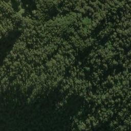 Satellite imagery of Sandfly Point, NZ