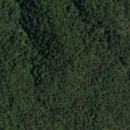Satellite imagery of Bell Point, NZ