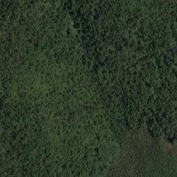 Satellite imagery of Bell Point, NZ