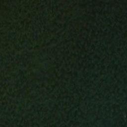 Satellite imagery of Sandfly Point, NZ