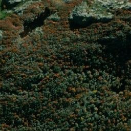Satellite imagery of Cerro Moro, CL