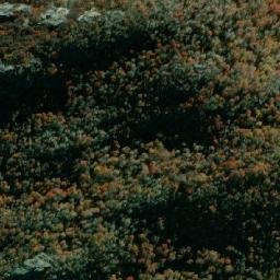 Satellite imagery of Cerro Moro, CL