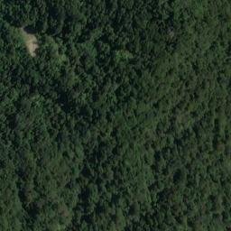 Satellite imagery of Bell Point, NZ