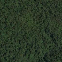 Satellite imagery of Bell Point, NZ