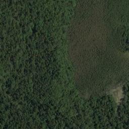 Satellite imagery of Bell Point, NZ