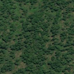 Satellite imagery of Punta Ganso, CL