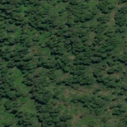 Satellite imagery of Punta Ganso, CL