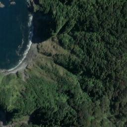 Satellite imagery of Tommy Point, NZ
