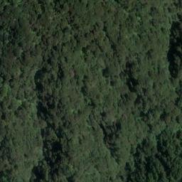 Satellite imagery of Tommy Point, NZ