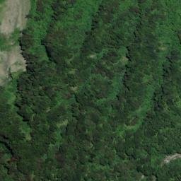 Satellite imagery of Black Point, NZ