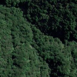 Satellite imagery of Flat Point, NZ