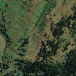 Satellite imagery of Davidsons Mine, NZ