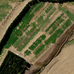 Satellite imagery of Maori Point, NZ