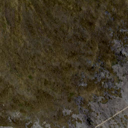 Satellite imagery of WALKING SPUR, NZ