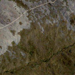 Satellite imagery of WALKING SPUR, NZ