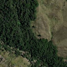 Satellite imagery of Butchers Point, NZ