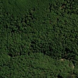 Satellite imagery of Reidys Spur, NZ