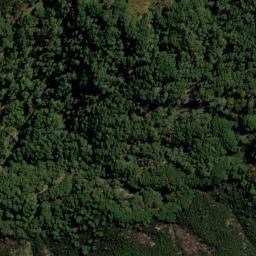Satellite imagery of Reidys Spur, NZ