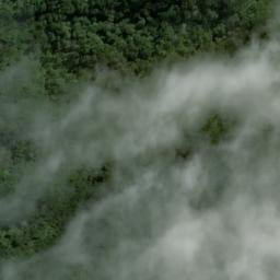 Satellite imagery of Hansard Point, NZ
