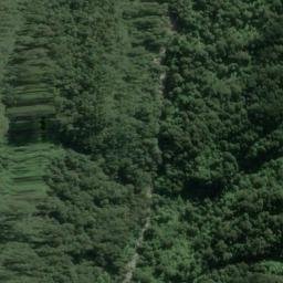 Satellite imagery of Dog Point, NZ