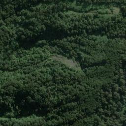 Satellite imagery of Dog Point, NZ