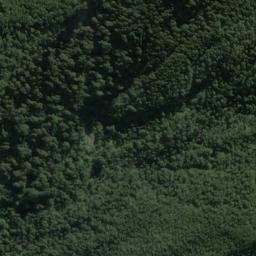 Satellite imagery of Dog Point, NZ