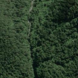 Satellite imagery of Dog Point, NZ