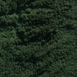 Satellite imagery of Dog Point, NZ