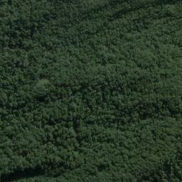Satellite imagery of Dog Point, NZ
