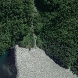 Satellite imagery of Dog Point, NZ